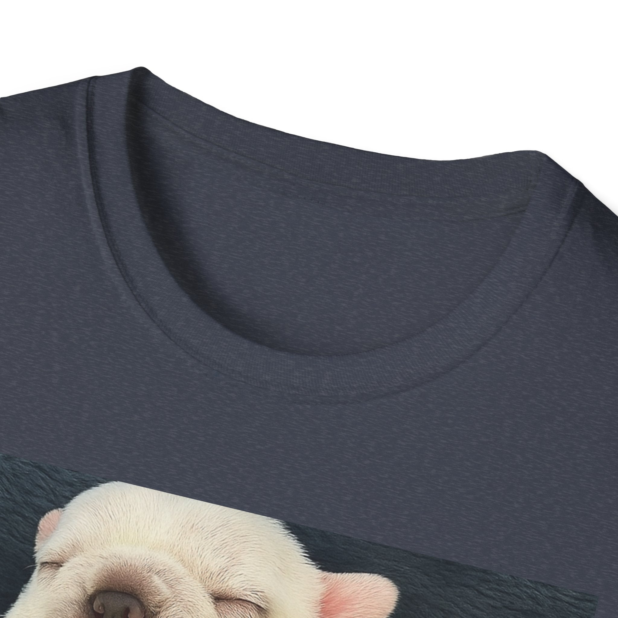 PIBBLE T SHIRT - 'Wash My Belly!' Unisex Softstyle T-Shirt, Perfect Gift for Dog Lovers, Funny Animal Shirt, Cute Pet Apparel, Casual Wear
