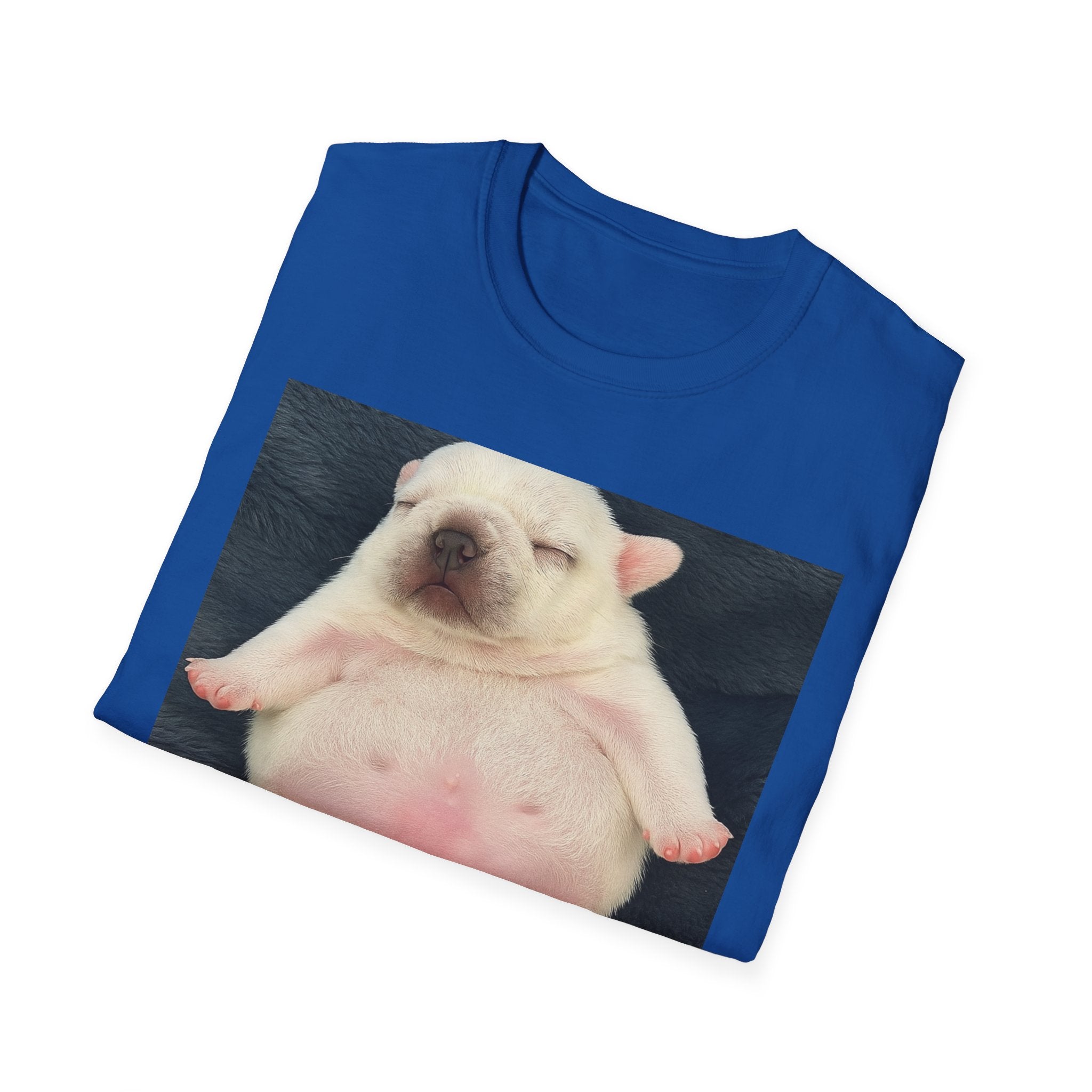 PIBBLE T SHIRT - 'Wash My Belly!' Unisex Softstyle T-Shirt, Perfect Gift for Dog Lovers, Funny Animal Shirt, Cute Pet Apparel, Casual Wear