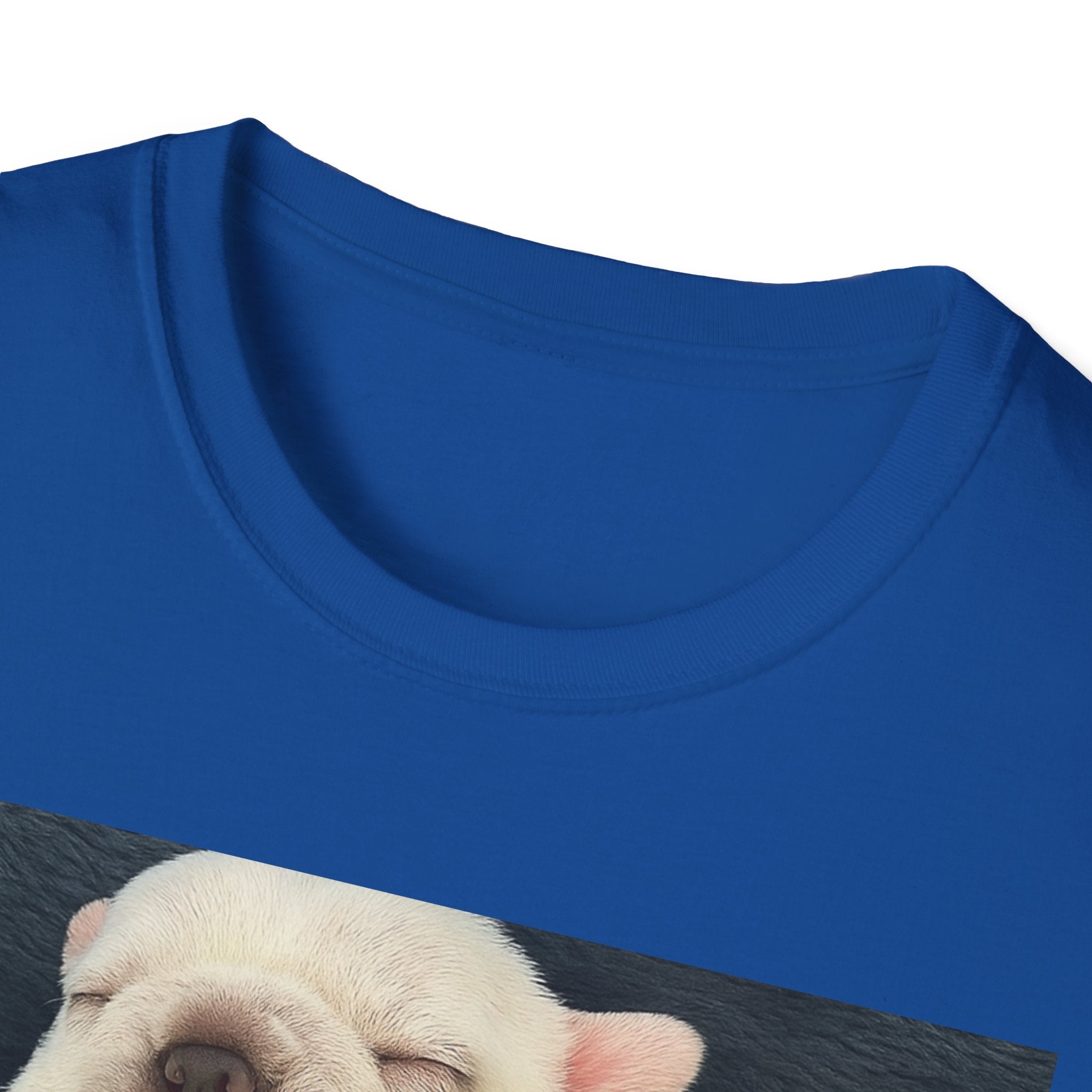 PIBBLE T SHIRT - 'Wash My Belly!' Unisex Softstyle T-Shirt, Perfect Gift for Dog Lovers, Funny Animal Shirt, Cute Pet Apparel, Casual Wear