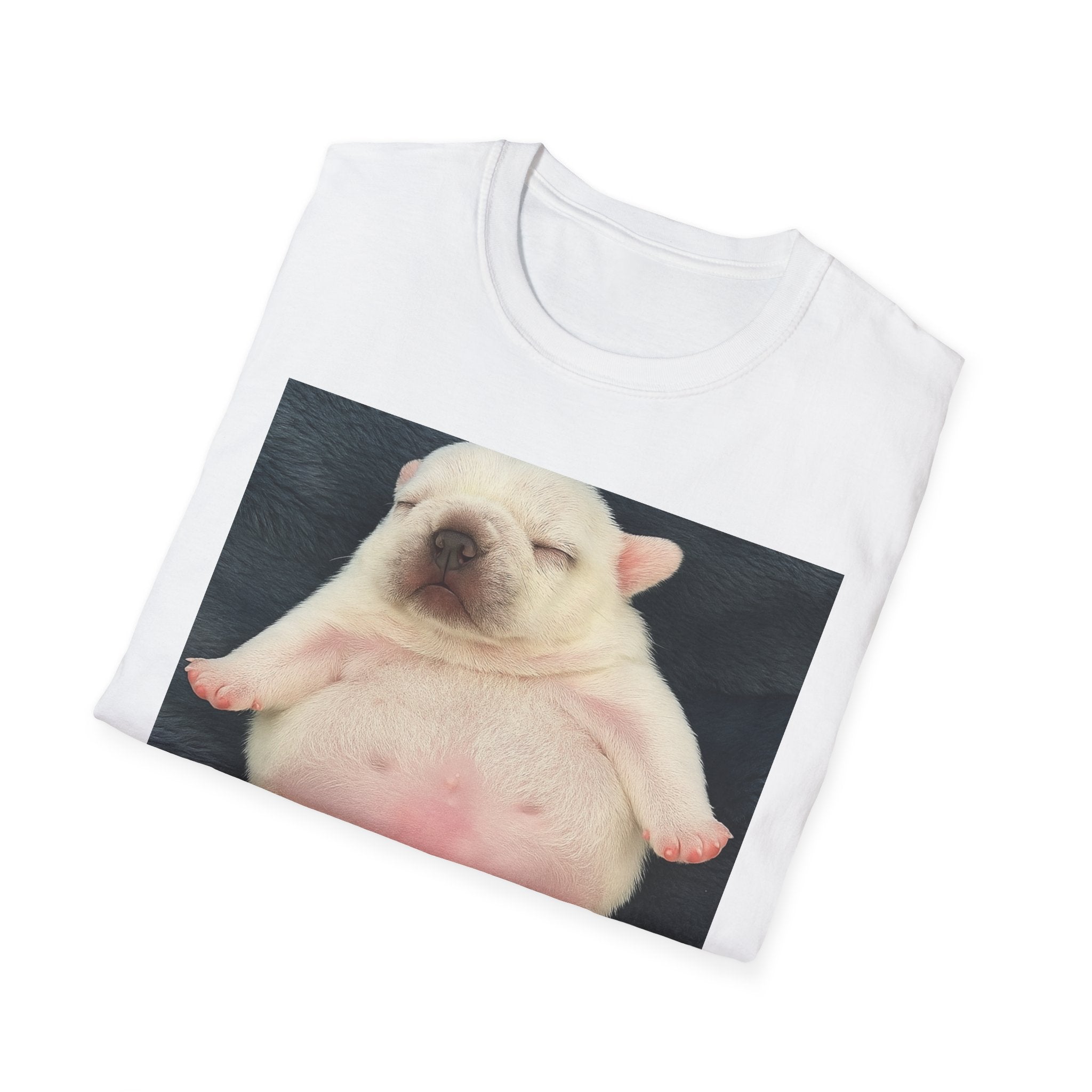 PIBBLE T SHIRT - 'Wash My Belly!' Unisex Softstyle T-Shirt, Perfect Gift for Dog Lovers, Funny Animal Shirt, Cute Pet Apparel, Casual Wear