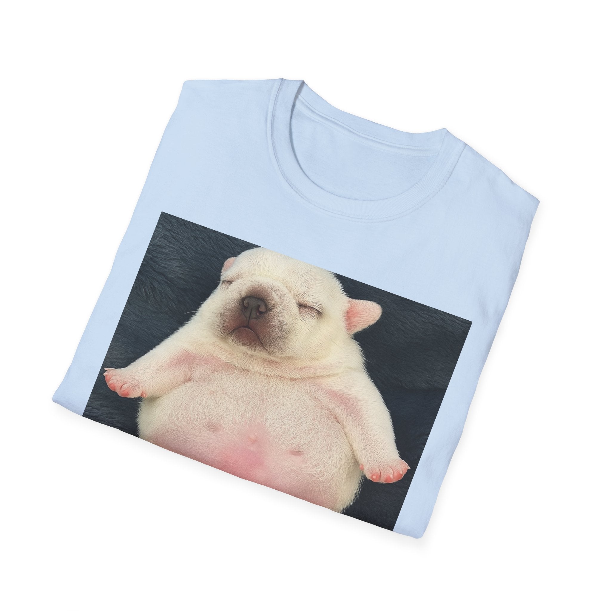 PIBBLE T SHIRT - 'Wash My Belly!' Unisex Softstyle T-Shirt, Perfect Gift for Dog Lovers, Funny Animal Shirt, Cute Pet Apparel, Casual Wear