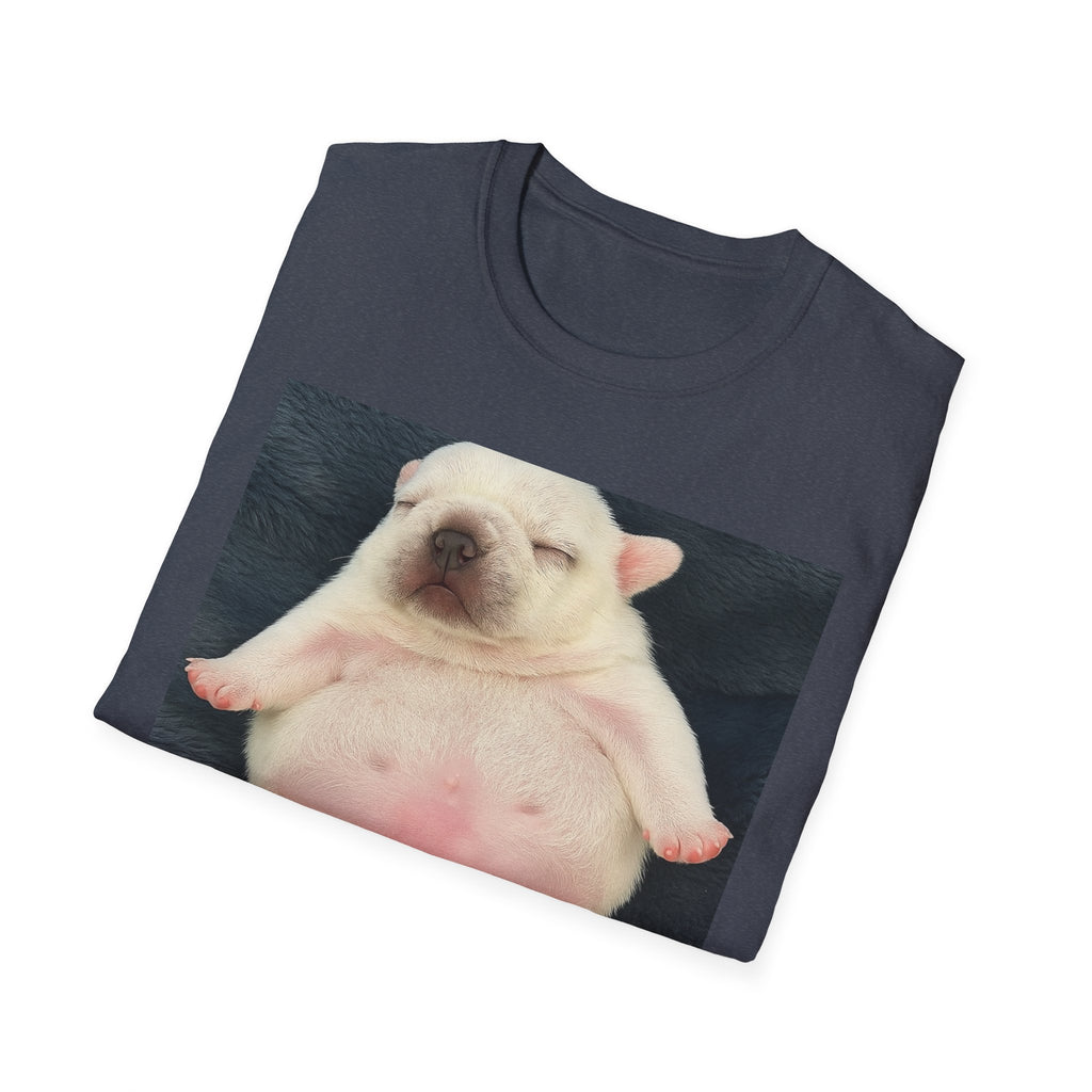 PIBBLE T SHIRT - 'Wash My Belly!' Unisex Softstyle T-Shirt, Perfect Gift for Dog Lovers, Funny Animal Shirt, Cute Pet Apparel, Casual Wear